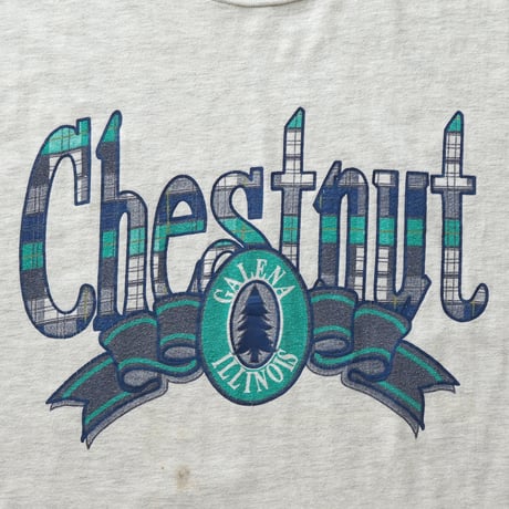 Chestnut Mountain Resort, IL / Vintage, S/S Tee