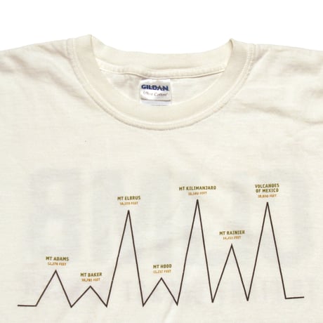 Fred Hutchinson Cancer Research Center / Climb to Fight Breast Cancer 2008 L/S Tee