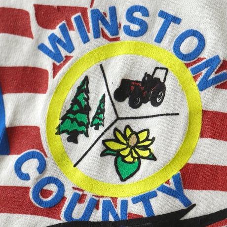 Winston County, AL / Vintage, Bald Eagle, Stars and Stripes Flag S/S Tee