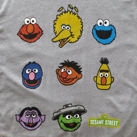 Sesame Street / Characters Head S/S Tee