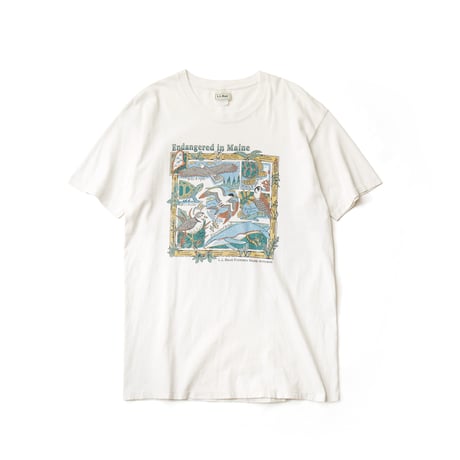 L.L. Bean / Vintage, Supports Maine Audubon S/S Tee "Endangered in Maine"