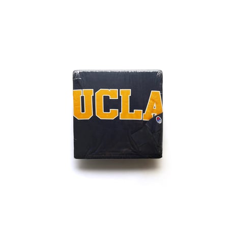 Champion / Vintage, Pullover Hooded Sweatshirt "UCLA"