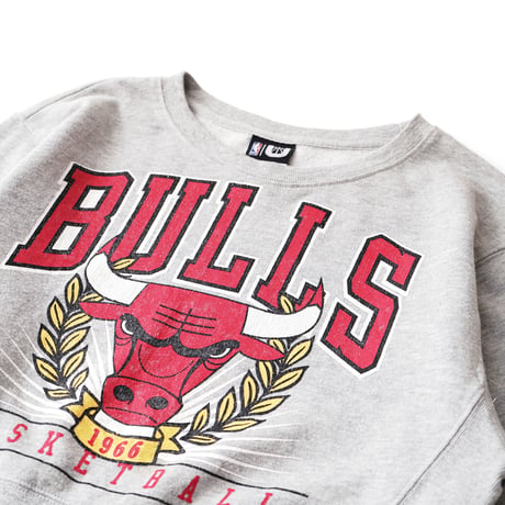 Chicago Bulls / Cropped Crewneck Sweatshirt