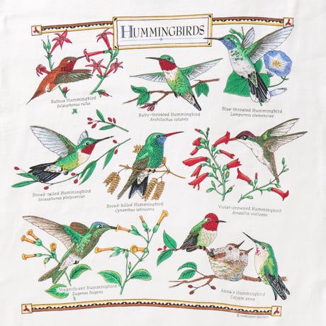Harborside Graphics / Vintage, Hummingbirds S/S Tee