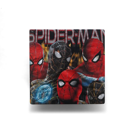 Spider-Man / No Way Home S/S Tee