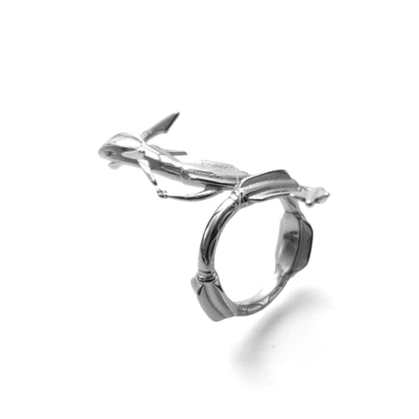 Ascension Industry / Rayquaza Ring
