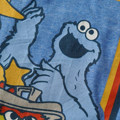 Sesame Street / Everything I Know I Learned On The Streets S/S Tee