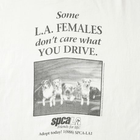 spcaLA / Vintage, Photo S/S Tee