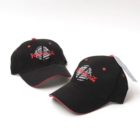 DARGON BALL Z / 00's Vintage 6-Panel Hat