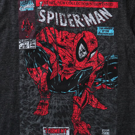 Spider-Man / Comic S/S Tee