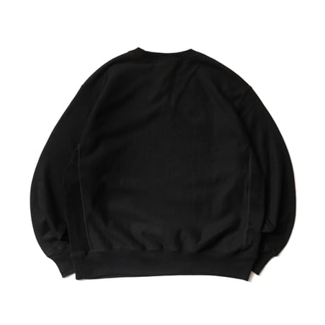 Blue Sun Record / Logo Crewneck Sweatshirt (champion Reverse Weave body)