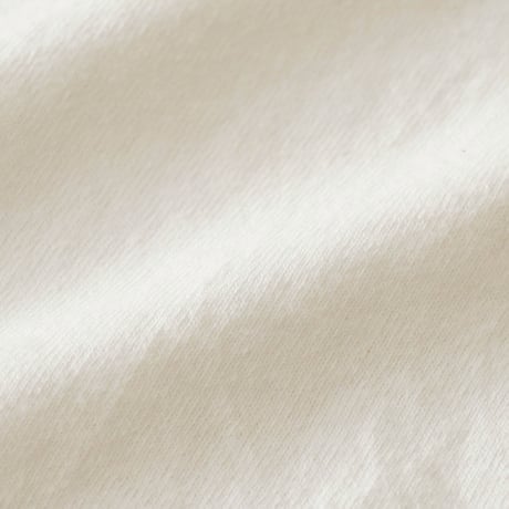 Dodge / Vintage, Grab Health By The Horns S/S Tee