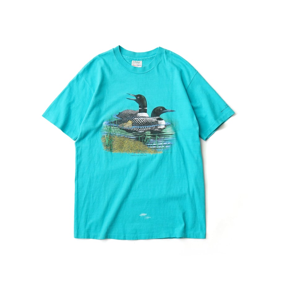 6618c8f74e941c0031564323