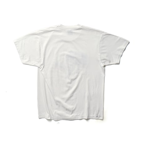 Winston County, AL / Vintage, Bald Eagle, Stars and Stripes Flag S/S Tee