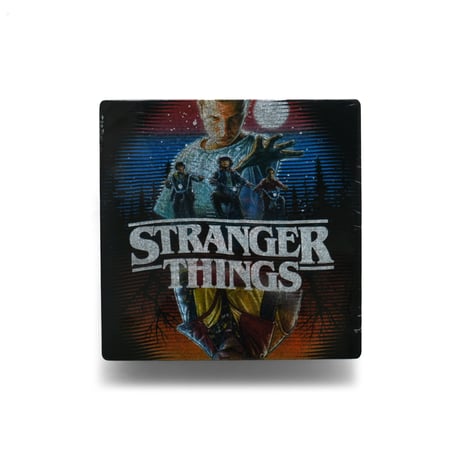 STRANGER THINGS / Season 1 S/S Tee
