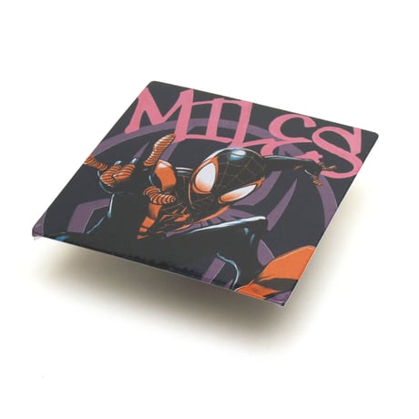 Spider-Man / "Into the Spider-Verse" Miles S/S Tee