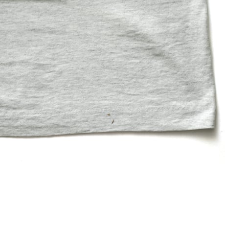 Adirondack Mountain Club ADK / Vintage, Genesee Valley Chapter S/S Tee