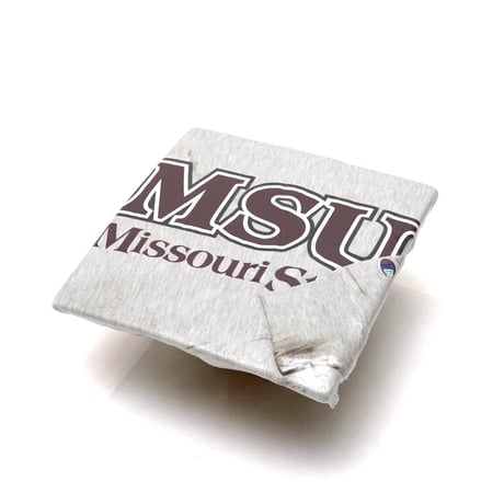 Champion / Vintage, Reverse Weave Crewneck Sweatshirt "MSU"