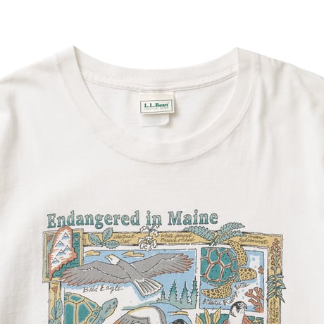 L.L. Bean / Vintage, Supports Maine Audubon S/S Tee "Endangered in Maine"