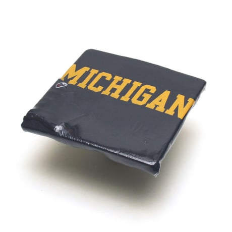 Champion / 00's Vintage, Reverse Weave Crewneck Sweatshirt "Michigan -UM-"