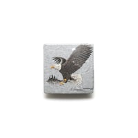 Minnesota / Vintage, Souvenir Crewneck Sweatshirt "Bald Eagle"