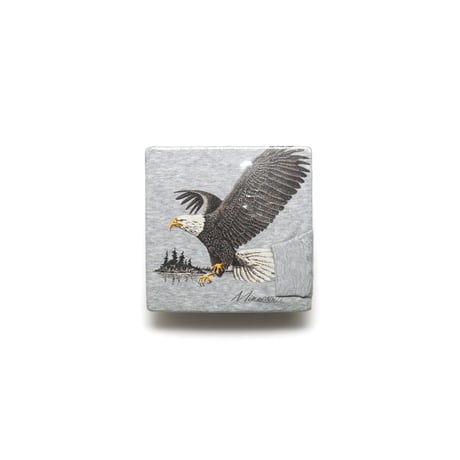 Minnesota / Vintage, Souvenir Crewneck Sweatshirt "Bald Eagle"