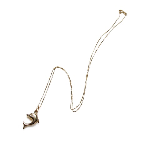 14k Gold Neckless with Beat Tape (by Dyelo Think) -20inch, Dolphin-