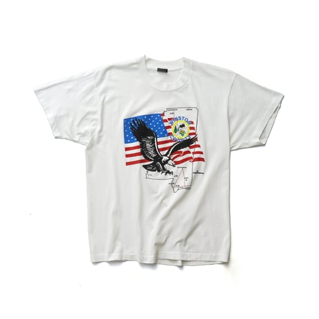 Winston County, AL / Vintage, Bald Eagle, Stars and Stripes Flag S/S Tee