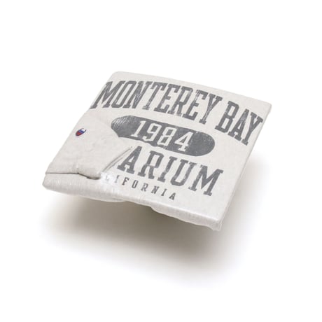 Champion / Reverse Weave Crewneck "Monterey Bay Aquarium"