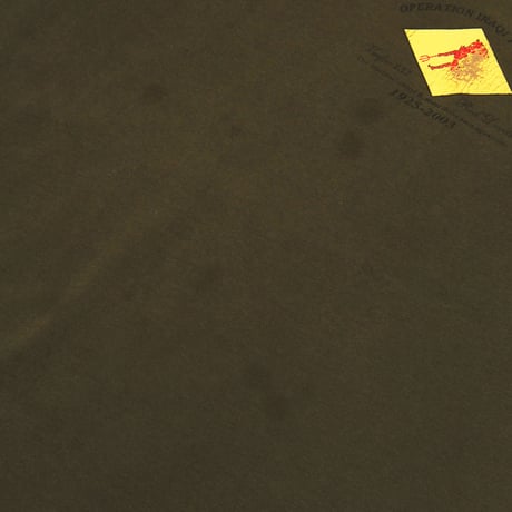 Red Devils / Operation Iraq Freedom S/S Tee