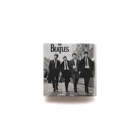 The Beatles / Initial Photo S/S Tee