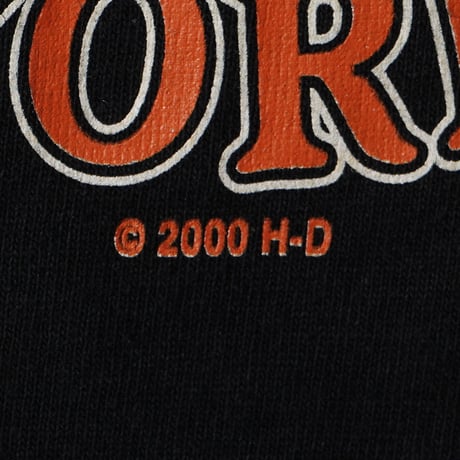 Harley Davidson / Vintage, ©2000 New York, L/S Tee