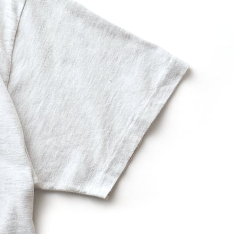 Minnesota / Vintage, Common Loon S/S Tee
