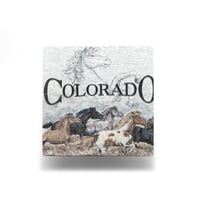 Colorado, CO / Vintage, Souvenir S/S Tee "Horse"