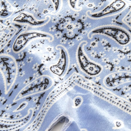 Paisley Velvet Du-Rag