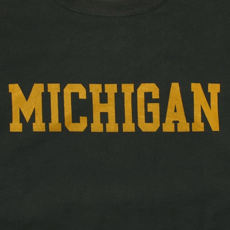 Champion / Vintage, Reverse Weave Crewneck Sweatshirt "Michigan -MSU-"