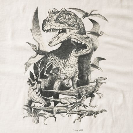 Sun Active / Vintage, Dinosaurs S/S Tee
