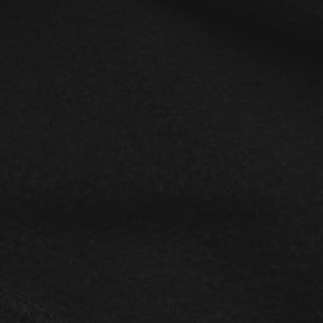 Champion / 00's Vintage, Reverse Weave Crewneck Sweatshirt "Michigan -UM-"