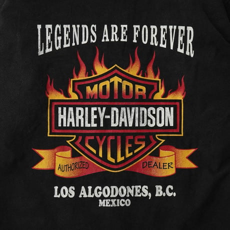 Harley Davidson / Full Zip Hooded Jacket "LOS ALGODONES"