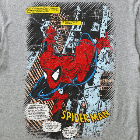 Spider-Man / Comic S/S Tee