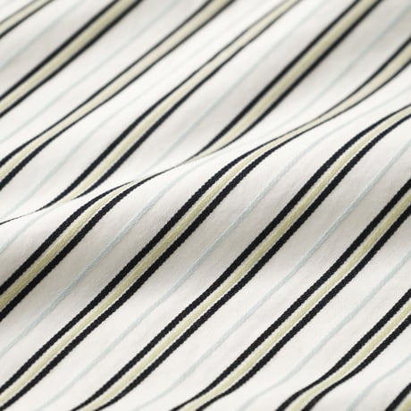 Lacoste / Striped B.D L/S Shirt