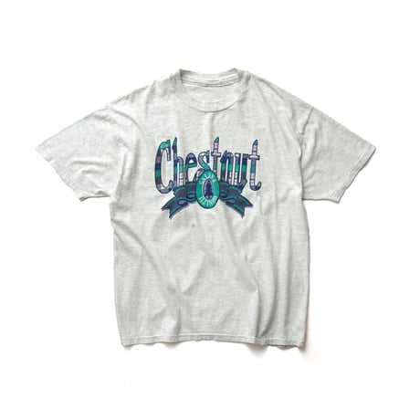Chestnut Mountain Resort, IL / Vintage, S/S Tee