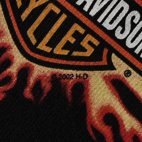 Harley Davidson / Vintage, ©2000 New York, L/S Tee