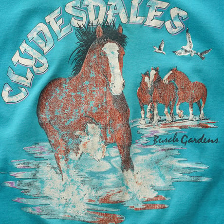 Busch Gardens by Anheuser-Busch / Vintage, Souvenir S/S Tee "Clydesdales"