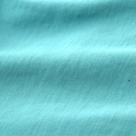 Alpine Design / Nylon Swim Short