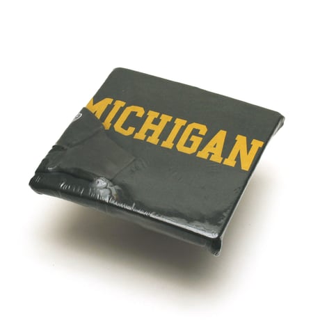Champion / Vintage, Reverse Weave Crewneck Sweatshirt "Michigan -MSU-"