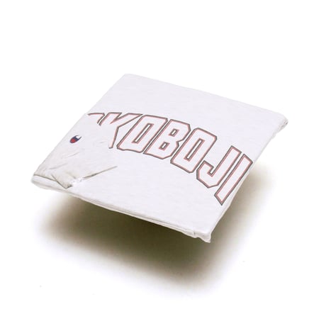 Champion / Vintage, Hooded Sweatshirt "Okoboji University"
