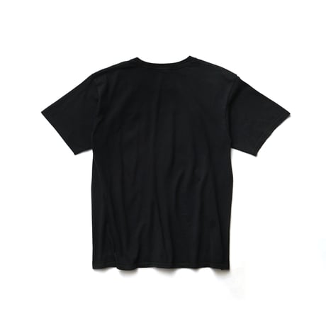 Aaliyah / The Princess of R&B S/S Tee