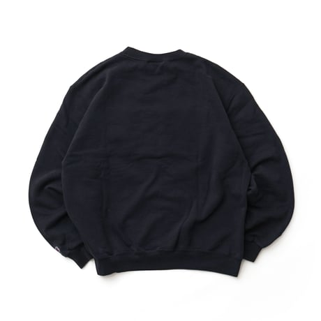Champion / Crewneck Sweatshirt "UCI University"