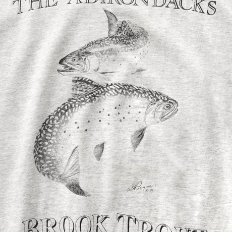 the Adirondacks, NY / Vintage, Souvenir S/S Tee "Brook Trout"
